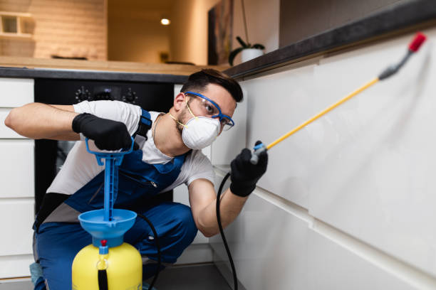 Best Mosquito Control Services  in Ranchos De Taos, NM