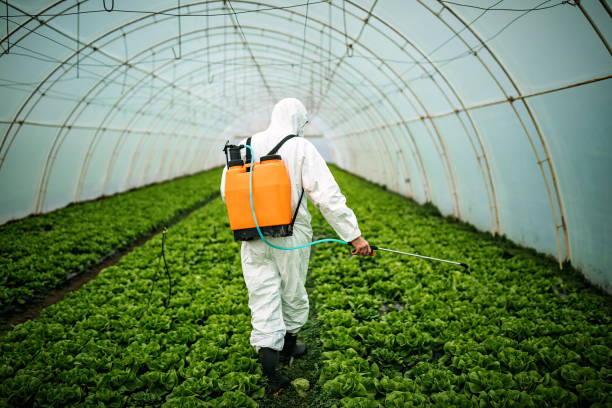 Best Best Pest Control Companies  in Ranchos De Taos, NM