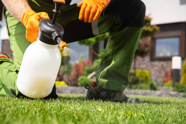Best Pest Removal Services  in Ranchos De Taos, NM