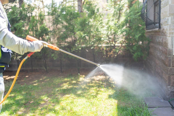 Best Residential Pest Control  in Ranchos De Taos, NM