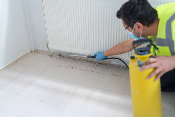 Best Commercial Pest Control Services  in Ranchos De Taos, NM