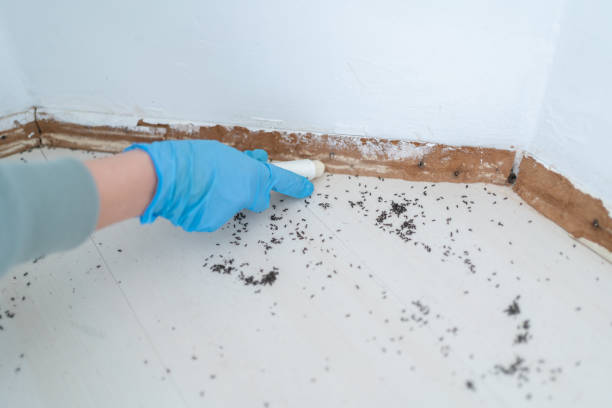 Best Wildlife Control Services  in Ranchos De Taos, NM
